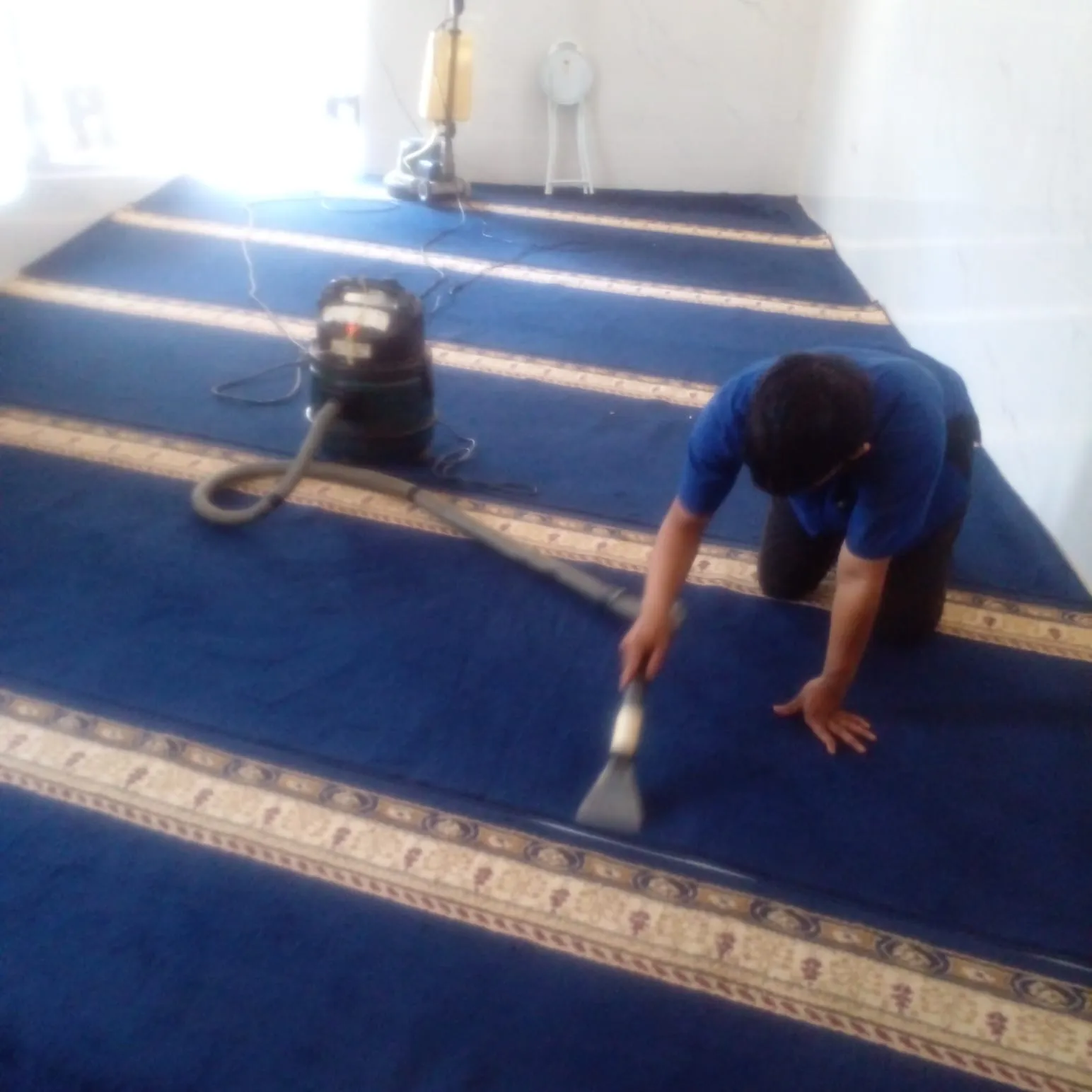 Kenapa Penting Mencuci Karpet Secara Rutin? Ini Manfaatnya!